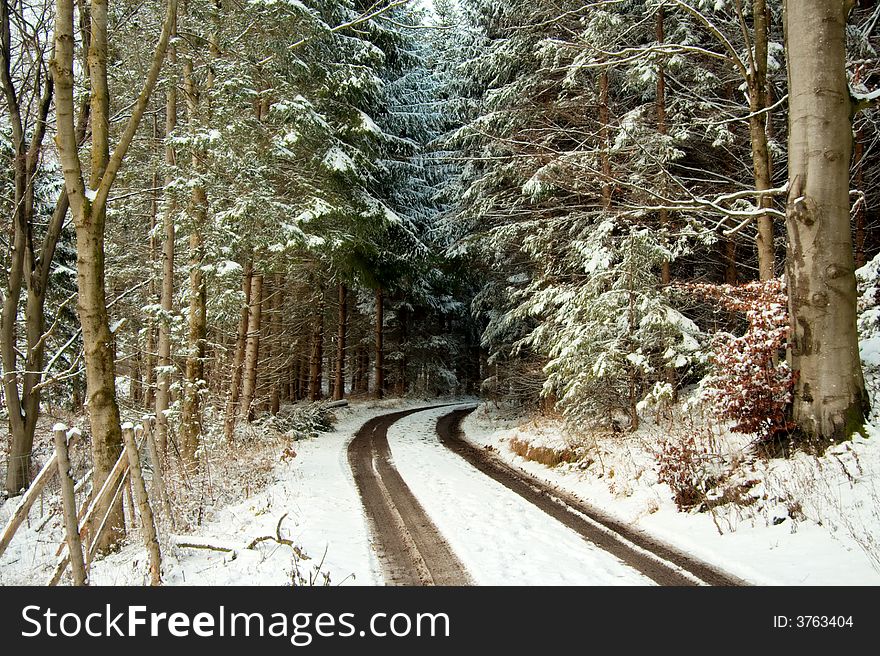 A Bavarian winter forest landscape. A Bavarian winter forest landscape.