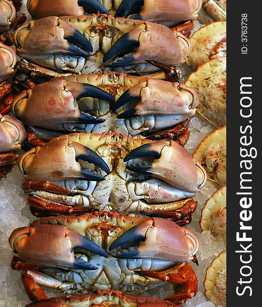 The undersides of fresh crabs on sale at fish market