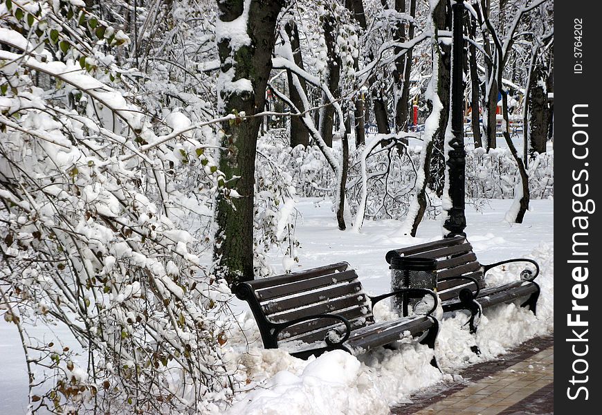 The benches are in park in winter