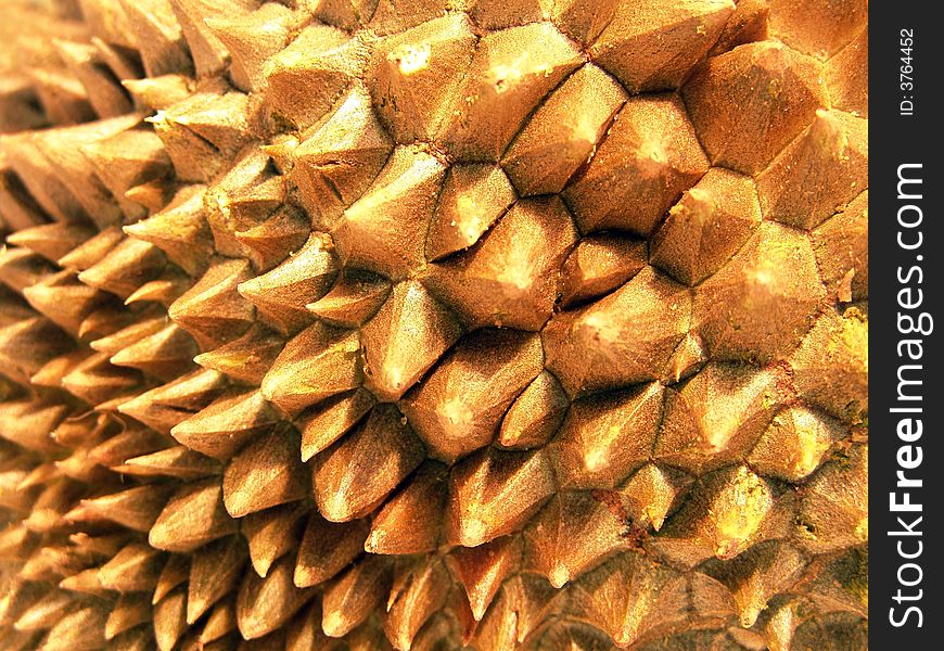 Macro view of ripe and juicy durian (brilliant colors photo). Macro view of ripe and juicy durian (brilliant colors photo)