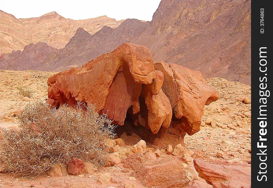 Stone in mountain of the deserts Arava. Stone in mountain of the deserts Arava