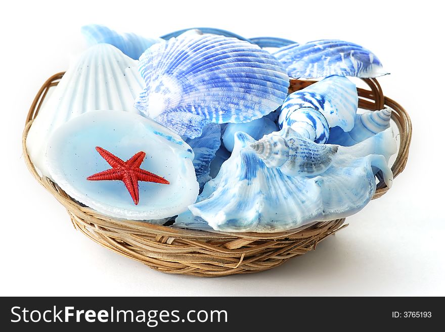Sea shells in a basket on white background