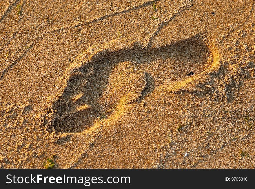 Footprint on a beach during sunrise