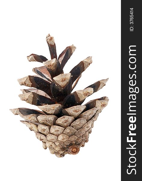 Pine cone over white background (for easy selection). Pine cone over white background (for easy selection)