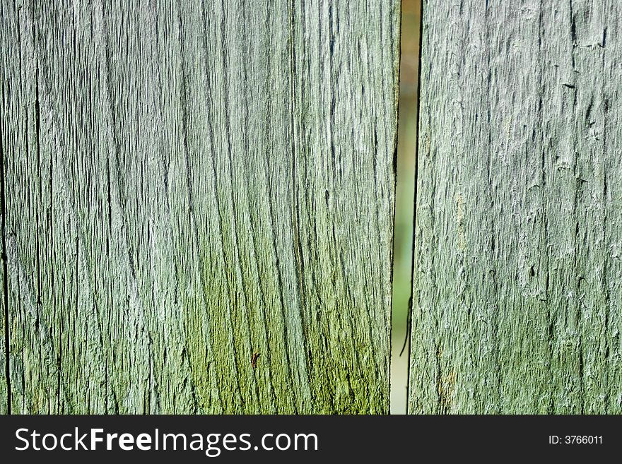 Beautiful old wood texture close-up