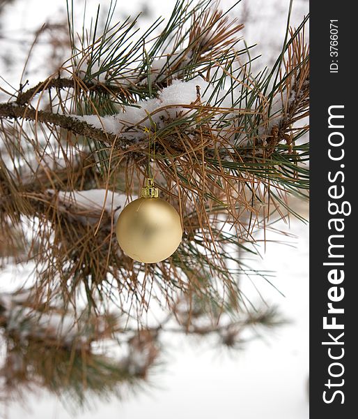 Gold Christmas Ornament in a snowy pine tree in vertical orientation