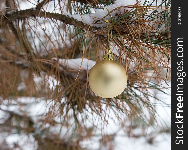 Gold Christmas Ornament in a snowy pine tree in horizontal orientation. Gold Christmas Ornament in a snowy pine tree in horizontal orientation