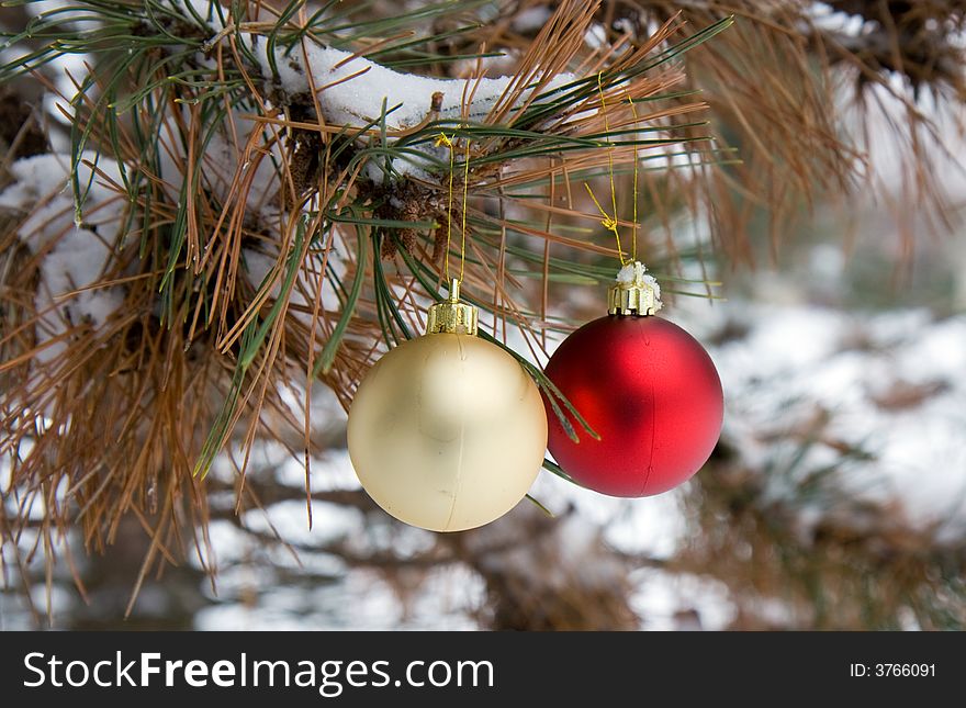 Red and Gold Christmas Ornaments in a snowy pine tree in horizontal orientation. Red and Gold Christmas Ornaments in a snowy pine tree in horizontal orientation