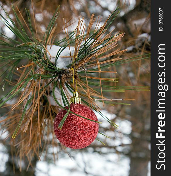 Red Christmas Ornament in a snowy pine tree in vertical orientation