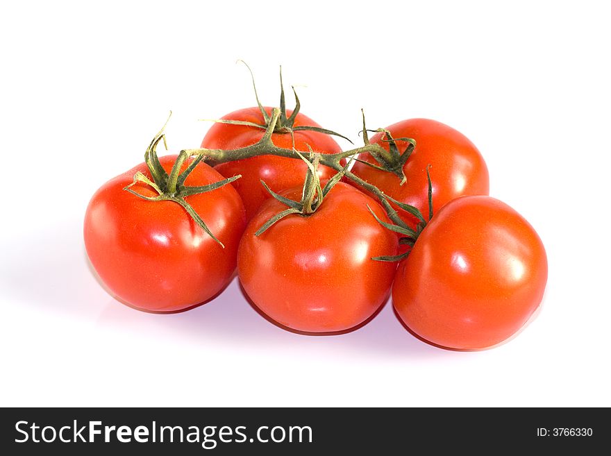 Red fresh tomatoes on a branch