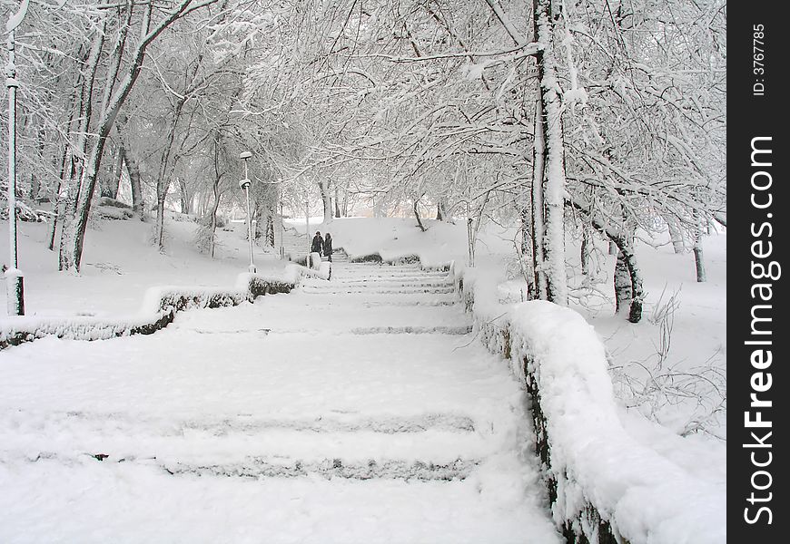 Snowy parkland