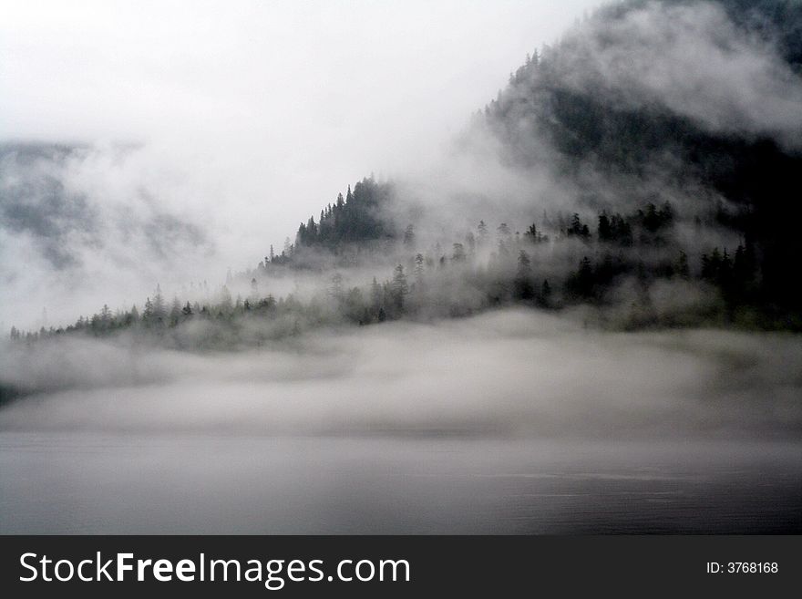 Mists in the forests of the inside passage in Alaska. Mists in the forests of the inside passage in Alaska