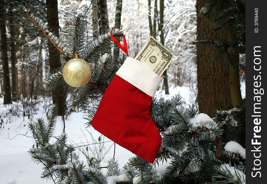 Christmas stocking with one dollar bill and toy hanging on fir on background with winter forest