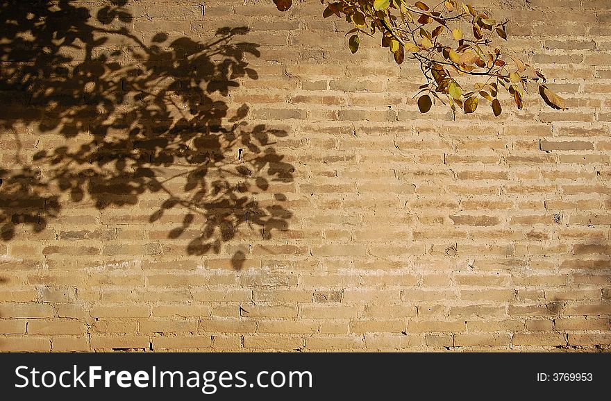 Autumn leaves and their shadows on the old wall. Autumn leaves and their shadows on the old wall.