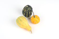 Mini Pumpkins Royalty Free Stock Photography Mini Pumpkins Royalty Free Stock Photography
