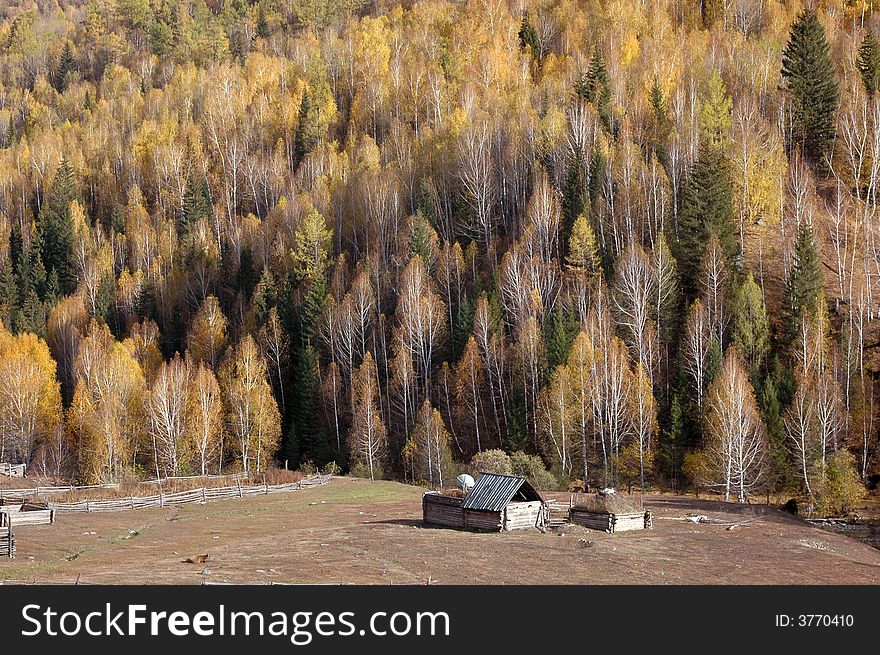 It is a small Kazakh compound on the way from Kanas to Hemu, which is surrounded by the birch forest on the mountain. 
Northern Xinjiang, China 
October, 2007