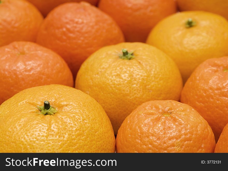Background of oranges and mandarins. Background of oranges and mandarins