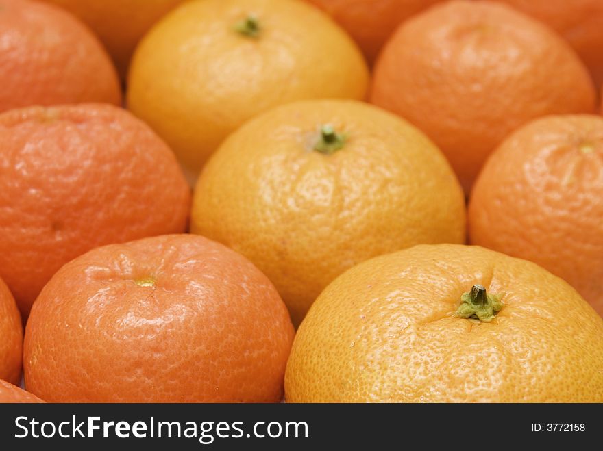 Background of oranges and mandarins. Background of oranges and mandarins
