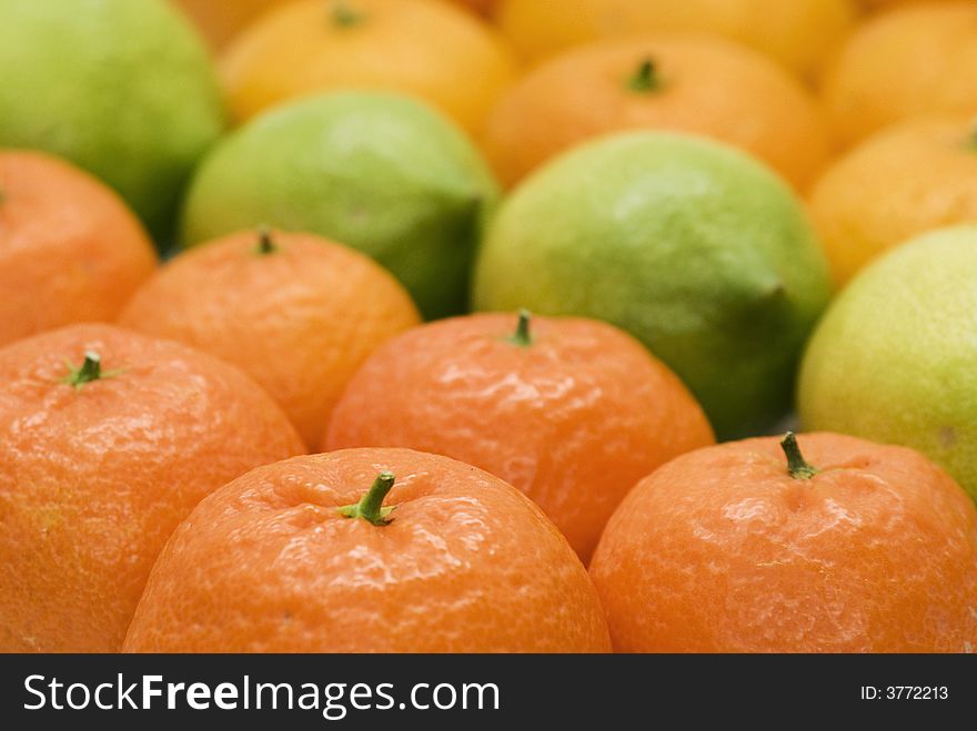 Background of oranges, mandarins and lemons. Background of oranges, mandarins and lemons