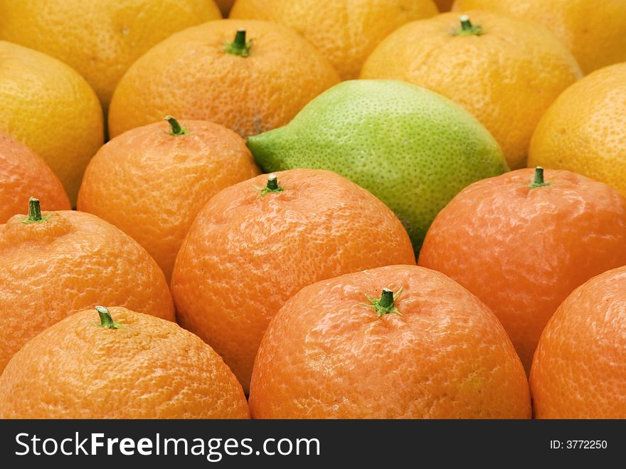 Background of oranges, mandarins and lemon. Background of oranges, mandarins and lemon