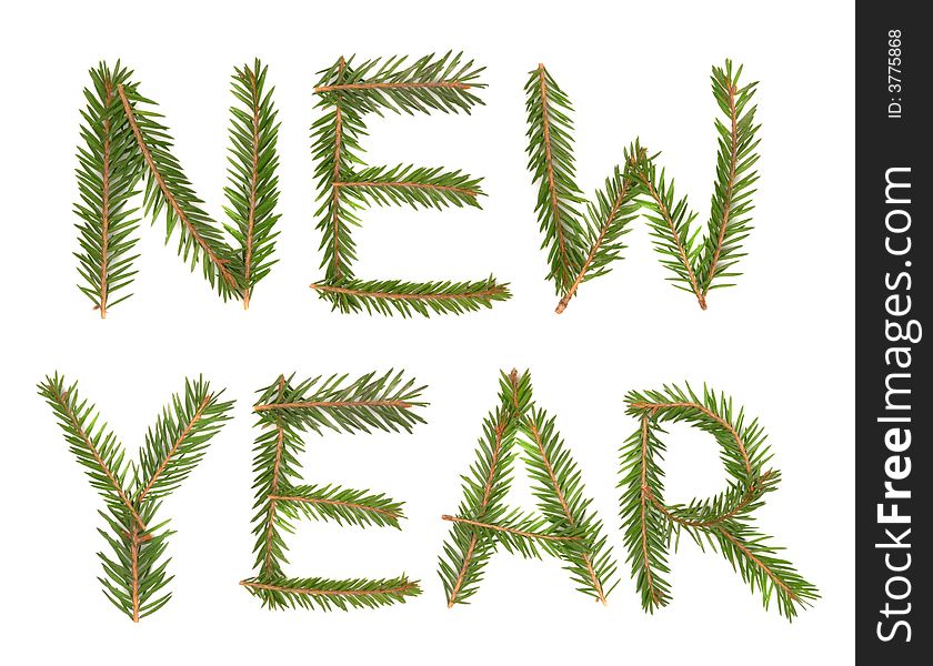New Year title made with pine isolated over white background