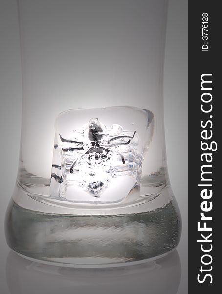 A halloween trick - ice bug in a glass of water