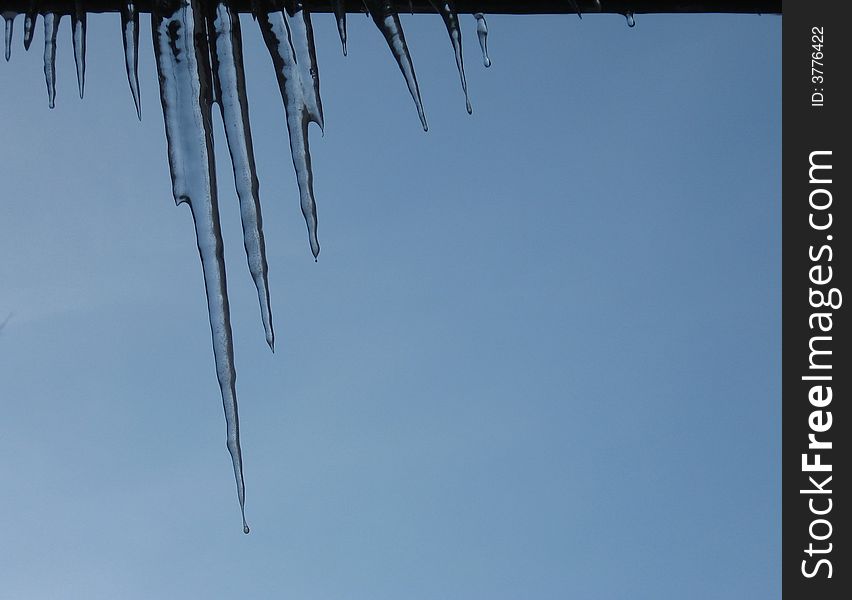 Transparent icicles on a background winter sky