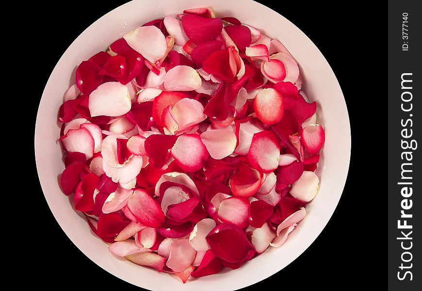 Beautiful macro close-up view of colorful rose petals pattern on a big white bowl. Beautiful macro close-up view of colorful rose petals pattern on a big white bowl