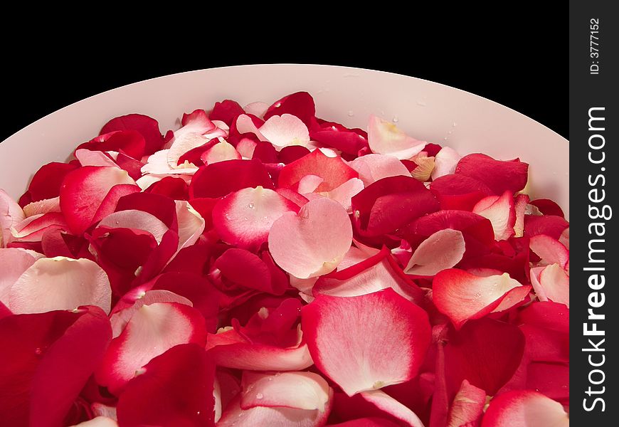 Beautiful macro close-up view of colorful rose petals pattern on a big white bowl. Beautiful macro close-up view of colorful rose petals pattern on a big white bowl