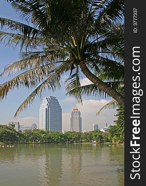 Palm trees and lake in a lush tropical park in the centre of Bangkok, Thailand. Modern skyscrapers in the background. Palm trees and lake in a lush tropical park in the centre of Bangkok, Thailand. Modern skyscrapers in the background