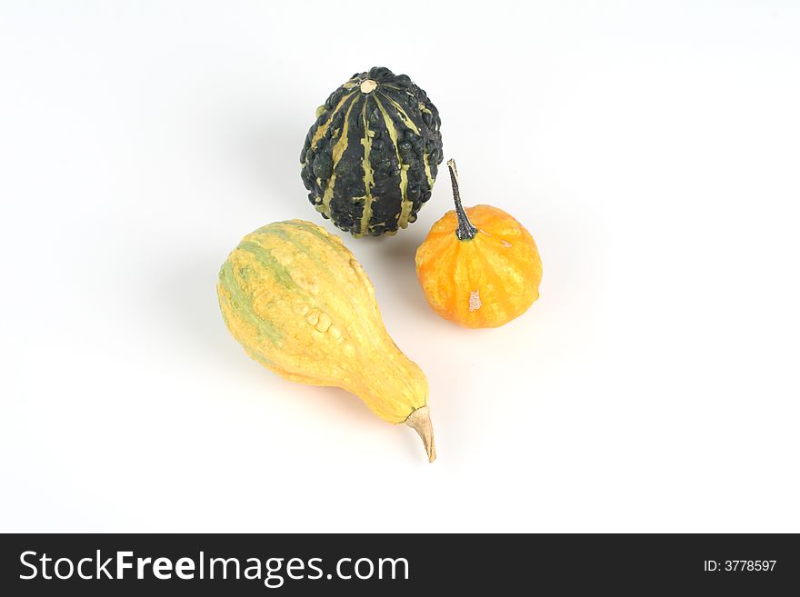 Mini pumpkins- yellow and green