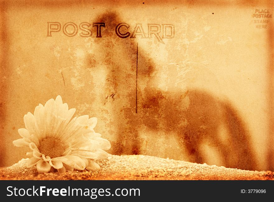 Vintage Grunge Style Postcard Background With Flower and Horse. Vintage Grunge Style Postcard Background With Flower and Horse