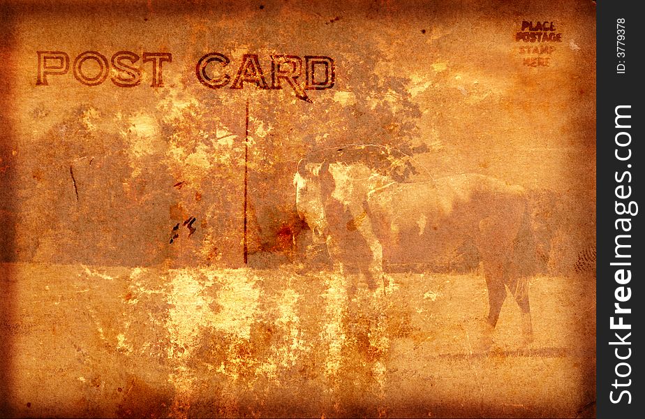 Postcard With Horse