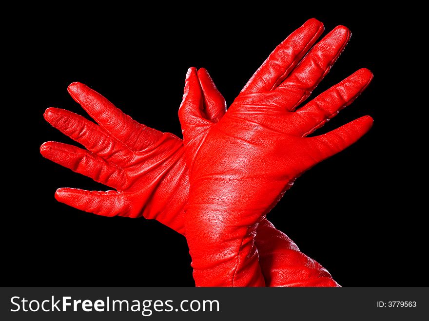 Hands in red gloves on the black background showing a bird