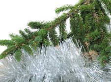 Branch Of A Christmas Fur-tree With A Tinsel Royalty Free Stock Photos Branch Of A Christmas Fur-tree With A Tinsel Royalty Free Stock Photos