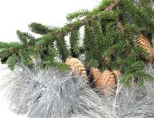 Branch Of A Christmas Tree Of With A Tinsel And St Royalty Free Stock Photos Branch Of A Christmas Tree Of With A Tinsel And St Royalty Free Stock Photos