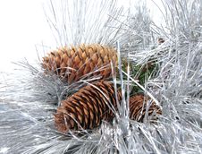 Strobile And A Silvery Tinsel With Needles Royalty Free Stock Photos Strobile And A Silvery Tinsel With Needles Royalty Free Stock Photos