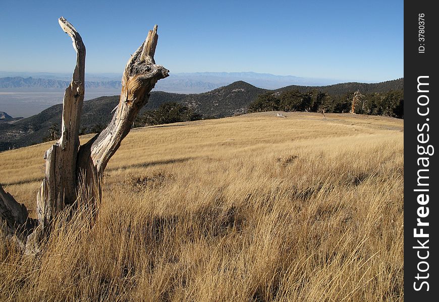 Looking at the distant High Sierra from Nevada. Looking at the distant High Sierra from Nevada.