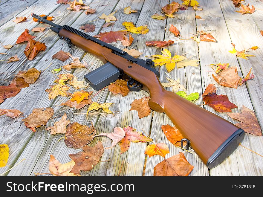 Picture of a rifle surrounded by leaves