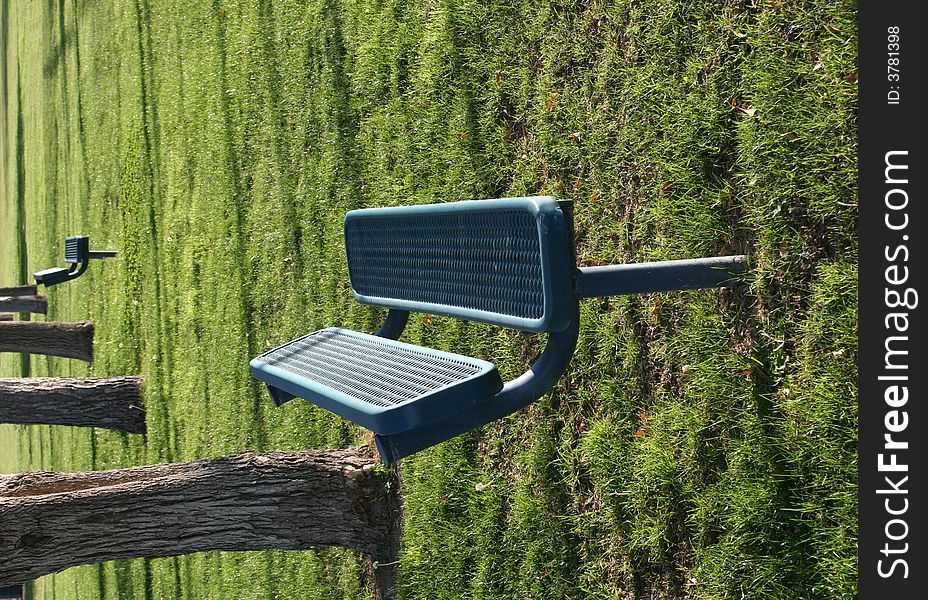 Empty park bench in grass