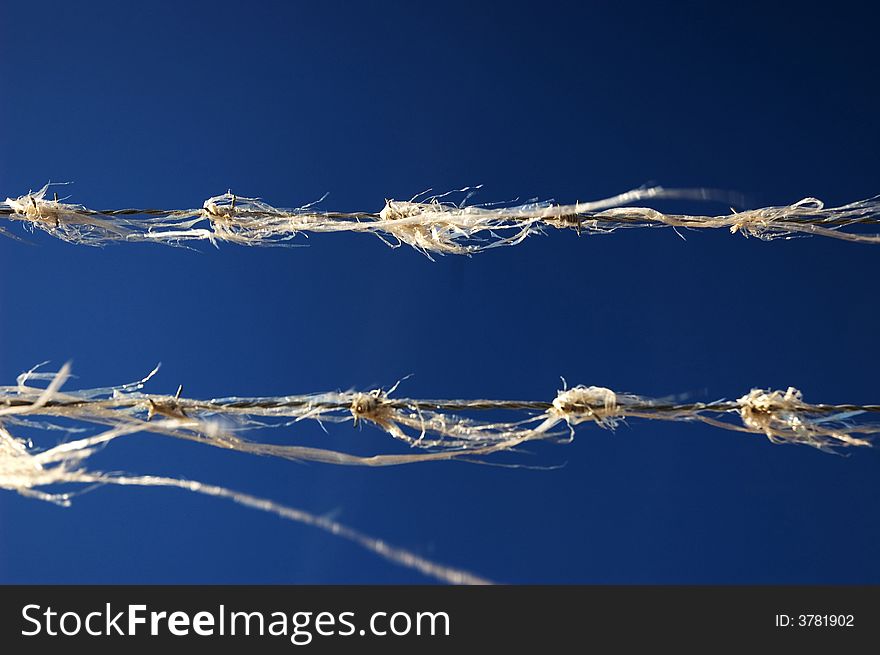 Barbed wire on blue sky background, with plastic caught on