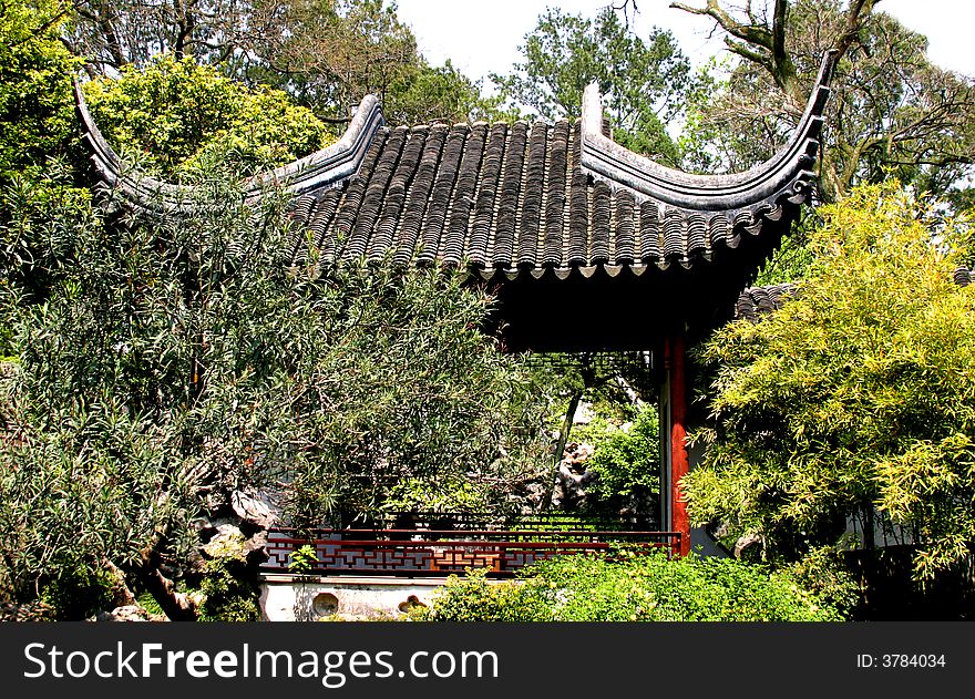 Chinese garden with a pavilion. Chinese garden with a pavilion