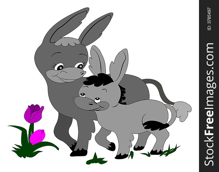 Two little donkeys hand drawn isolated over white background which is on a work path. Two little donkeys hand drawn isolated over white background which is on a work path.