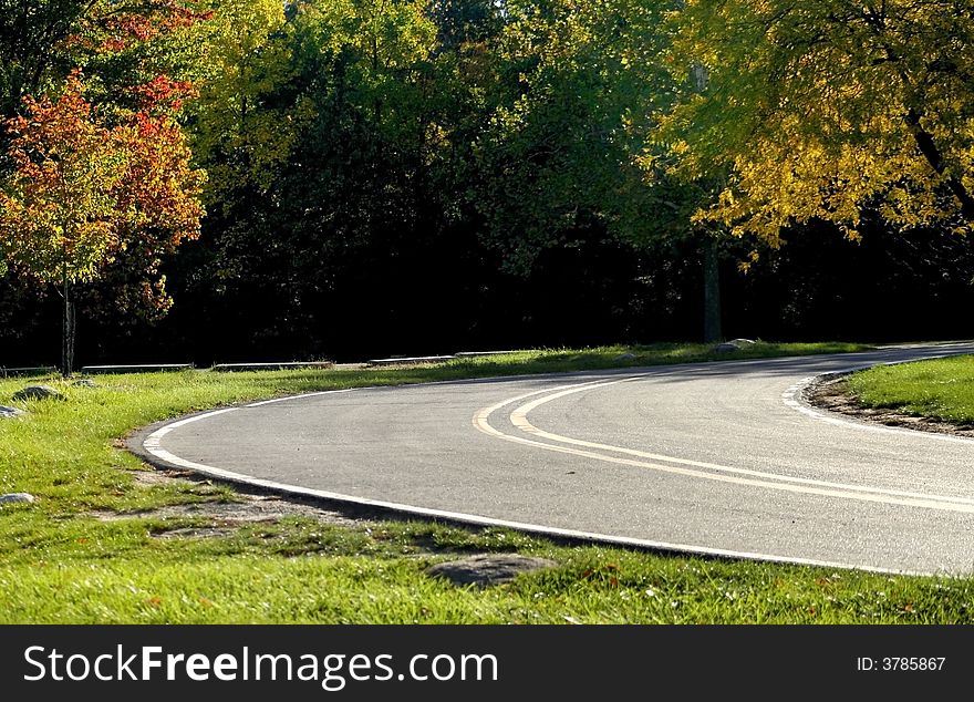 Scenic road through woods in Michigan's state park