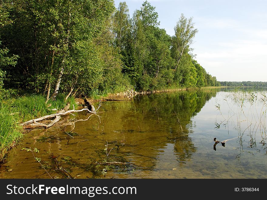 Lake brosno. Tver region. Summer