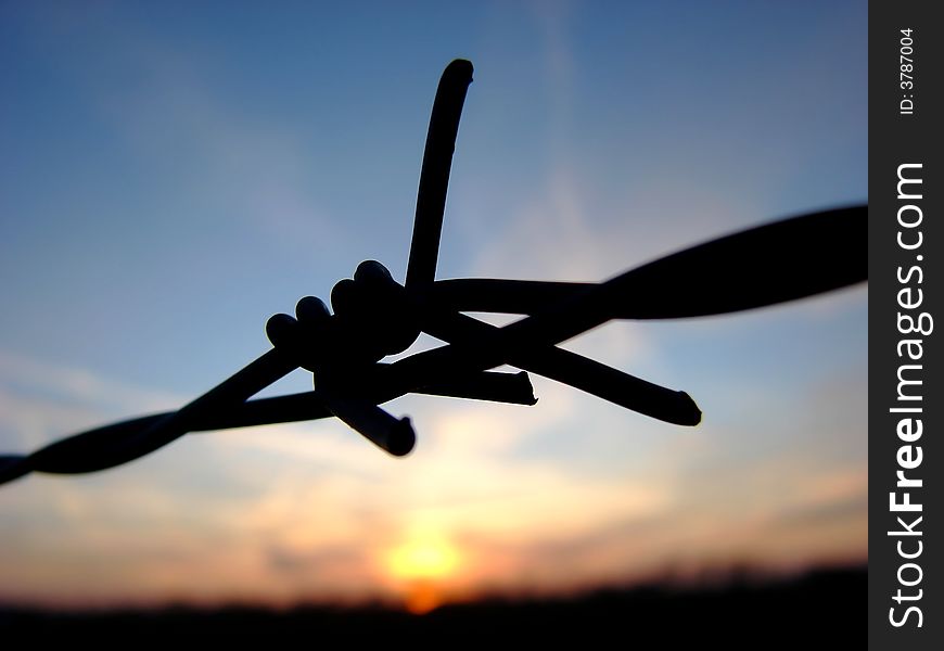 A barbed wire with sunset background. A barbed wire with sunset background