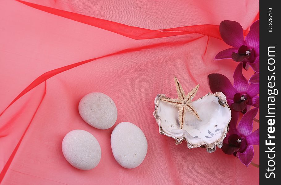 Shells with orchid on red background. Shells with orchid on red background.