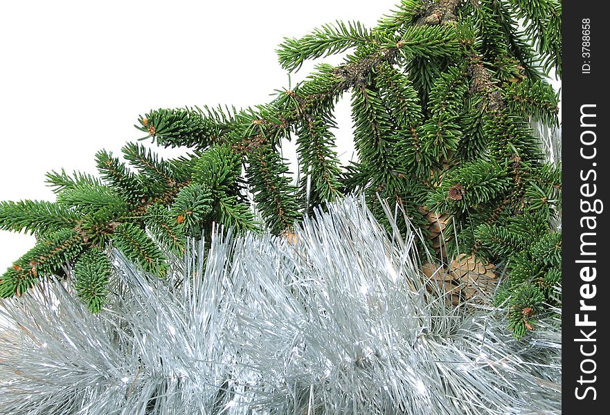 Branch of a Christmas fur-tree with a tinsel