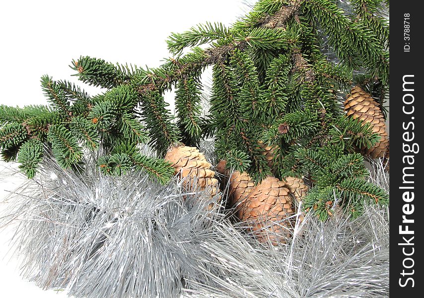 Branch Of A Christmas Tree Of With A Tinsel And St