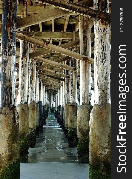 View of pier pilings from underneath